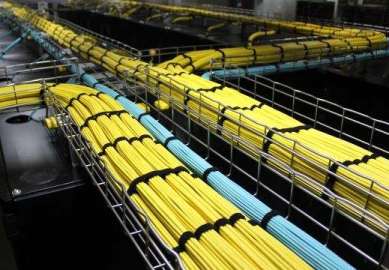 M(jn)оW(wng)j(lu)(xin)ă(yu)(sh)Щ